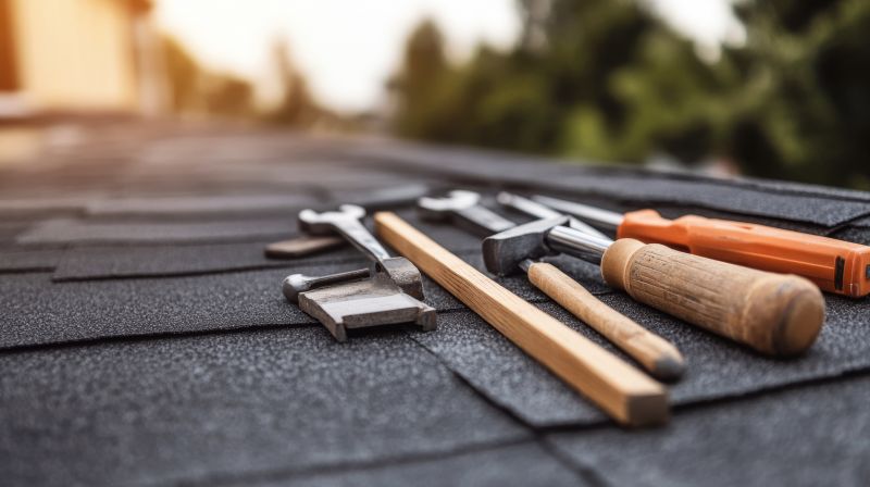 Shingles Repair