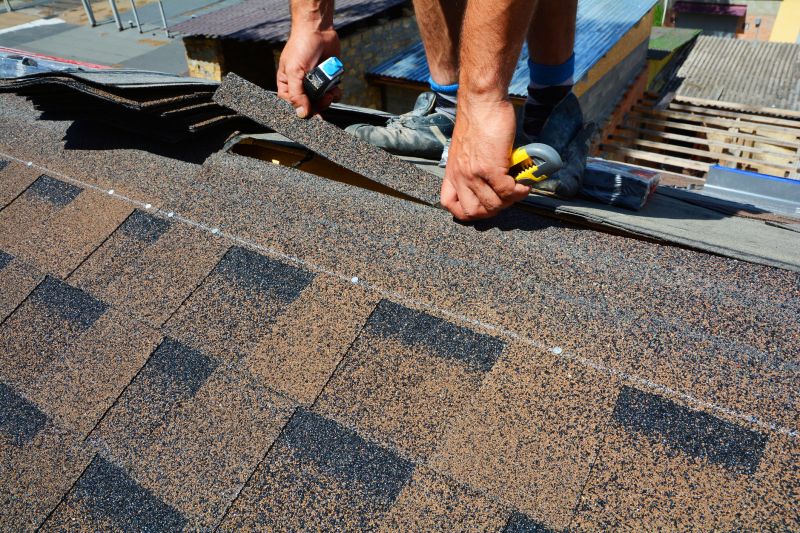 Shingles Repair