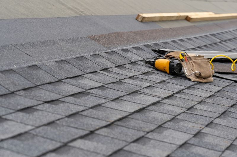 Shingles Repair