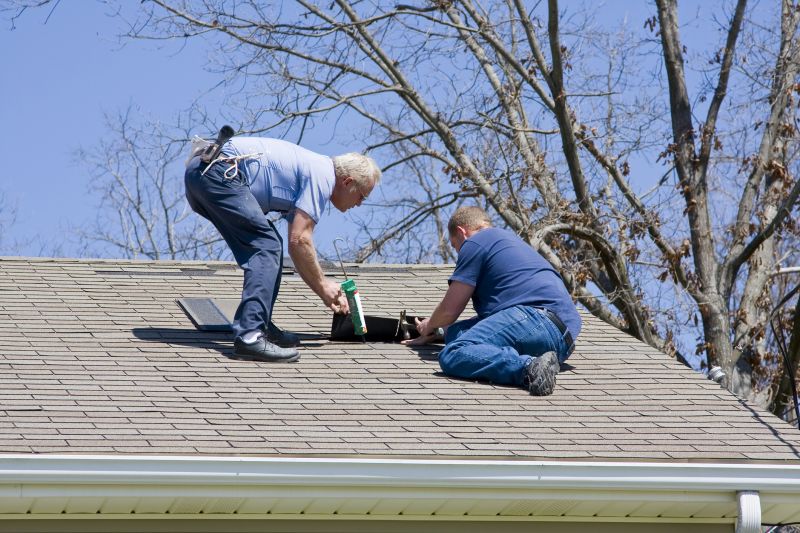 Summer Roof Maintenance