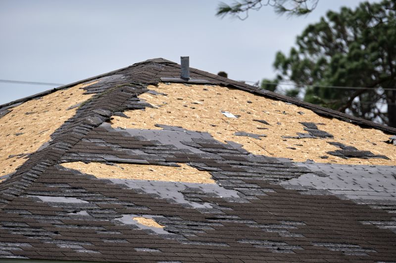 Damaged Shingles