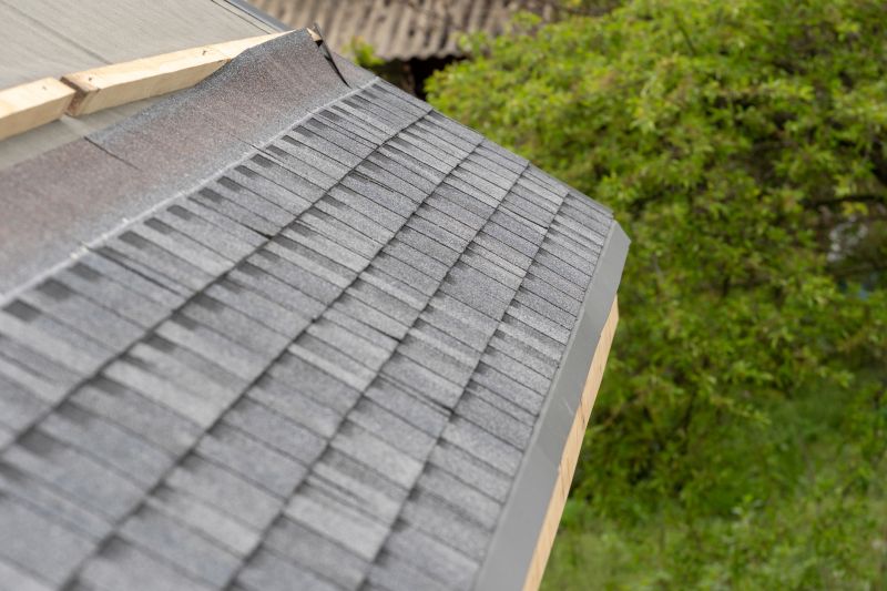 Shingles Repair in Spring