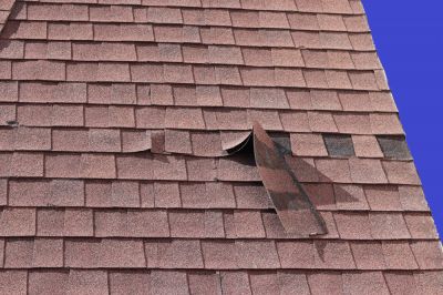Increase the Lifespan of Your Roof!